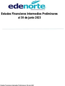 Icon of Notas Estados Financieros