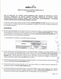 Icon of ACTA RESULTADO COMITE DE SUBASTA