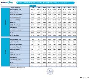 Icon of Resumen - Unidades de Negocio Sectoriales Edenorte Dominicana S.A. [Enero-Septiembre 2024]