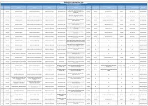 Icon of LISTA DE COMPRAS REALIZADAS Y APROBADAS