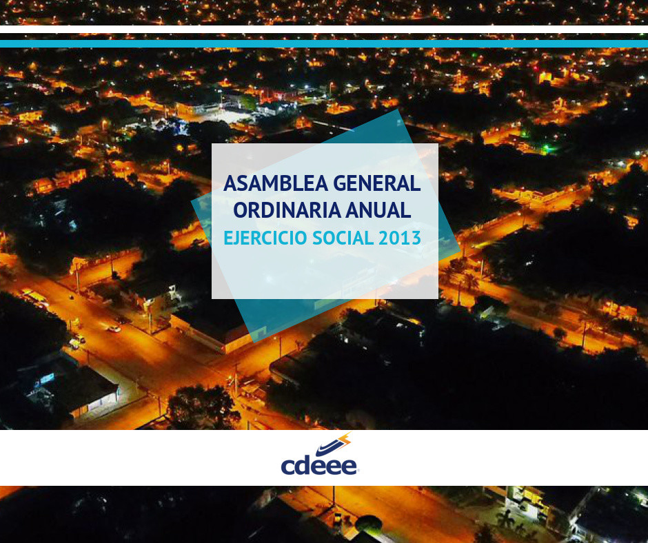 ASAMBLEA GENERAL ORDINARIA ANUAL EJERCICIO SOCIAL 2013