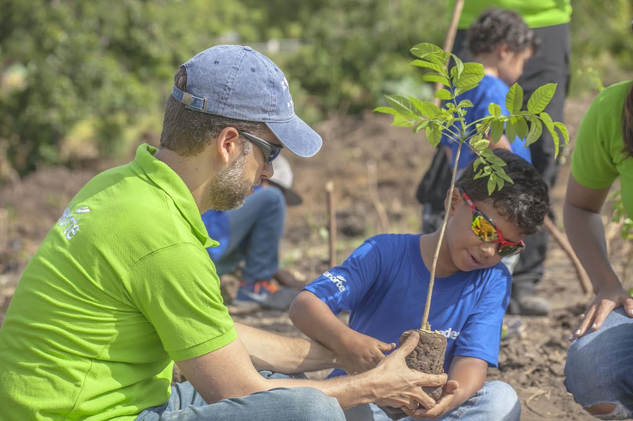 Hijos empleados de EDENORTE reforestan zona Jardín Botánico de Santiago