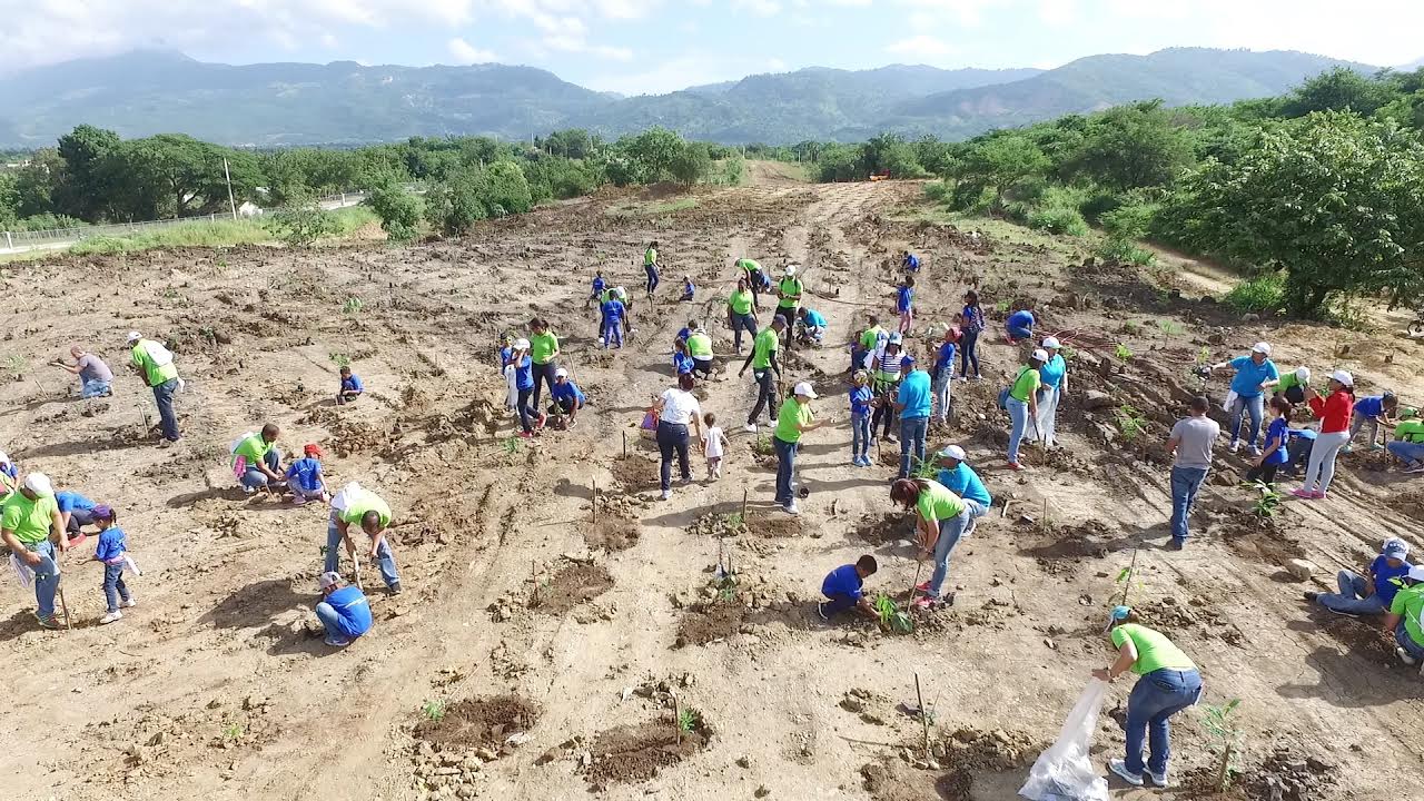 Hijos empleados de EDENORTE reforestan zona Jardín Botánico de Santiago