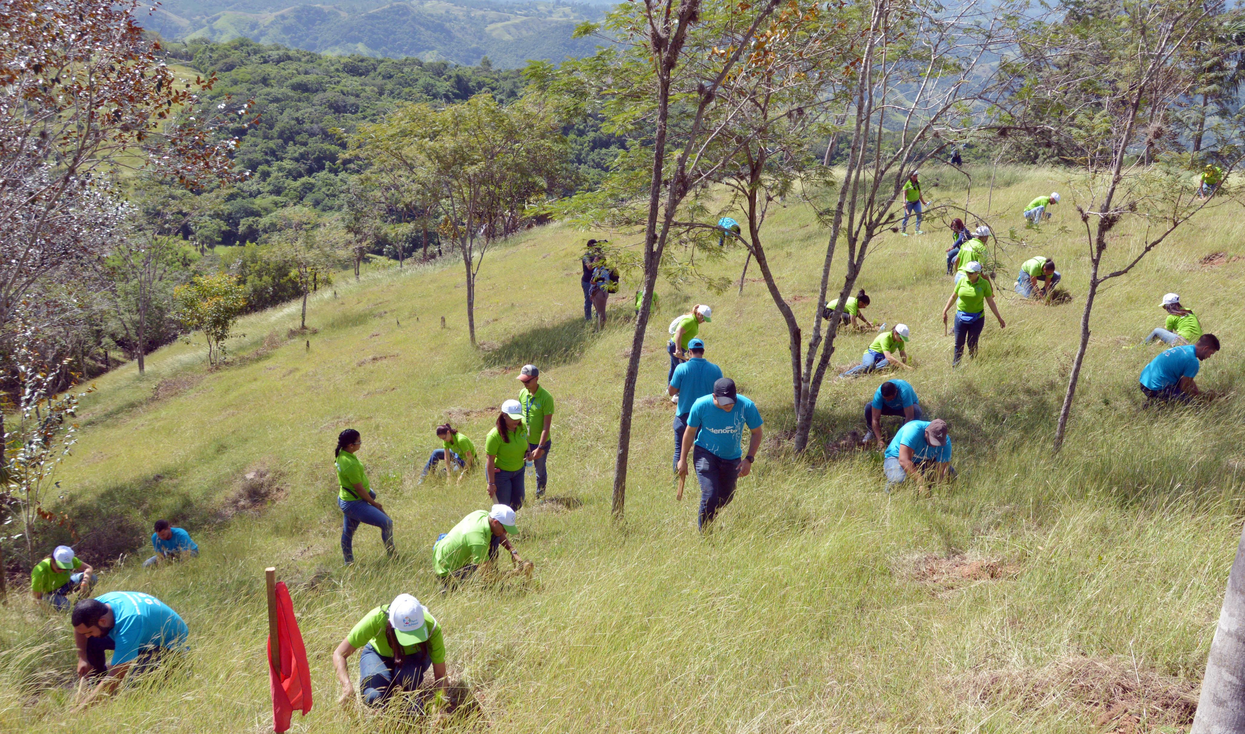 Voluntarios de EDENORTE Dominicana en la jornada de reforestación llevada a cabo en área del Plan Sierra.