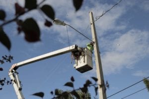 EDENORTE inicia rehabilitación de redes en La Ensenada y Punta Rucia